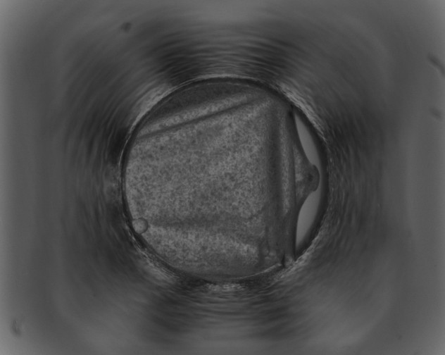 X0000093101129200710171154