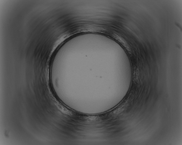 X0000093101130200710171154