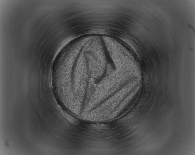 X0000093101131200710171154