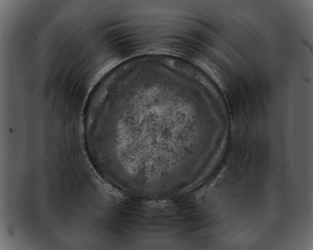 X0000093101133200710171154