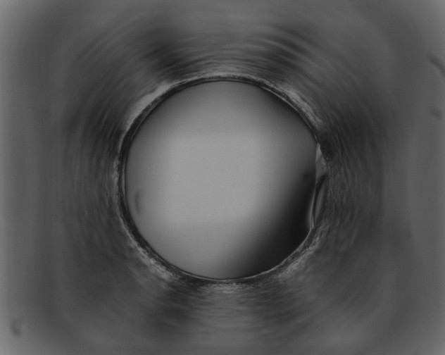 X0000093101134200710171154