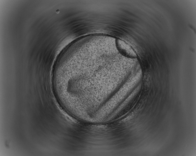 X0000093101135200710171154