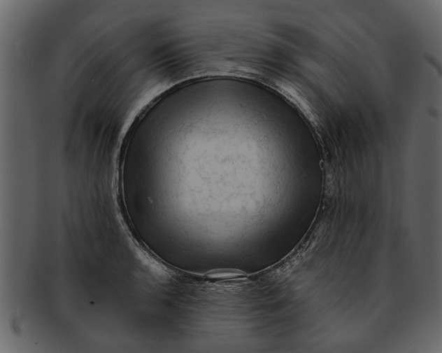 X0000093101136200710171154