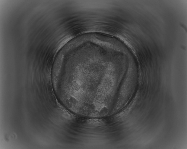 X0000093101137200710171154