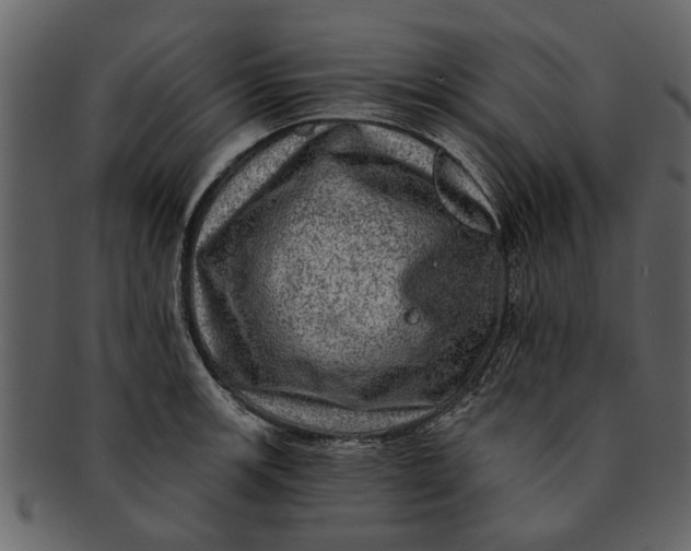 X0000093101139200710171154