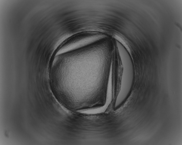 X0000093101141200710171154