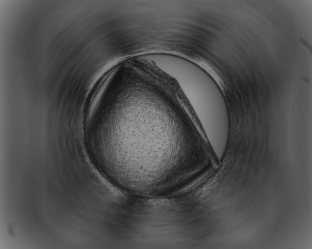 X0000093101142200710171154