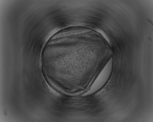 X0000093101143200710171155