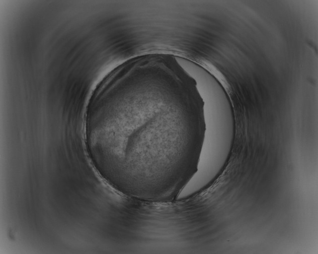 X0000093101144200710171155