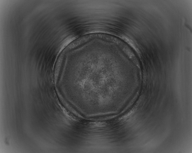 X0000093101145200710171155