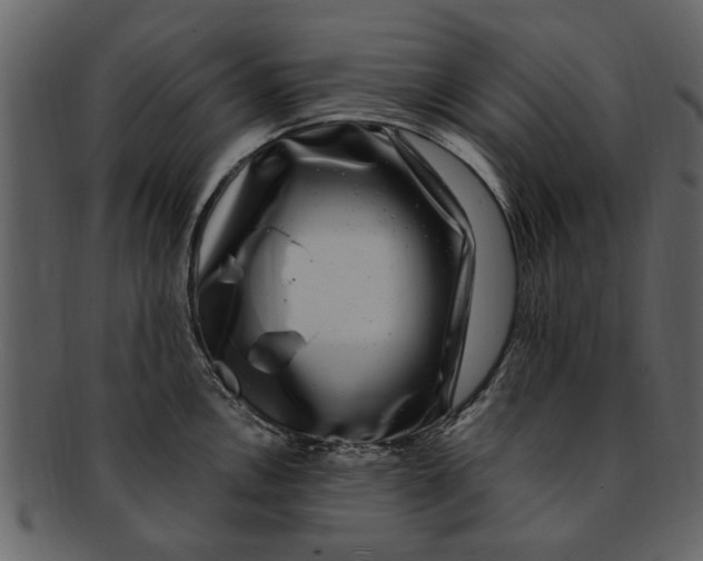 X0000093101146200710171155