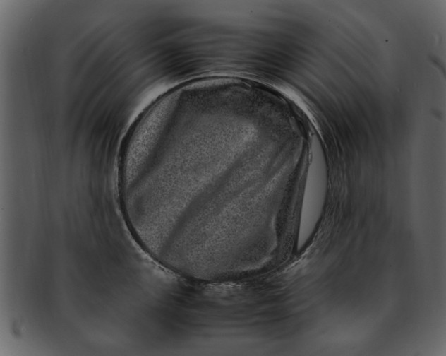 X0000093101147200710171155
