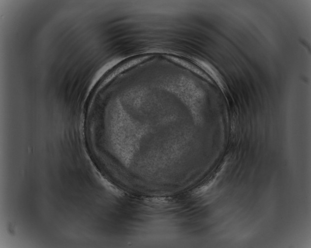 X0000093101149200710171155