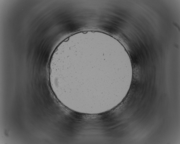 X0000093101150200710171155