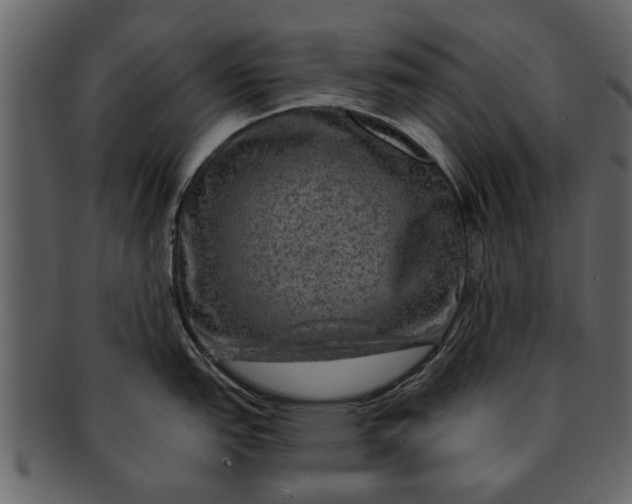 X0000093101151200710171155