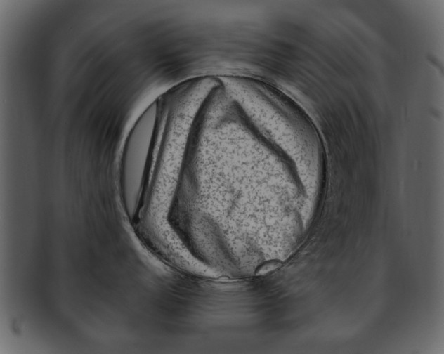 X0000093101152200710171155