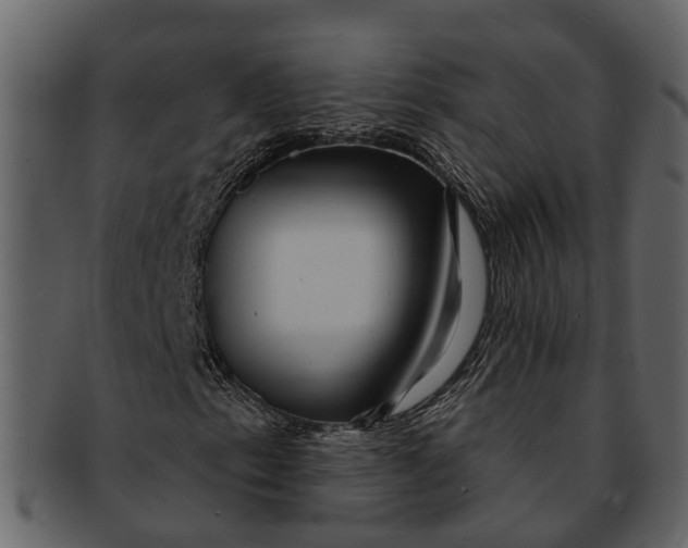X0000093101153200710171154