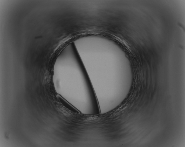 X0000093101160200710171154