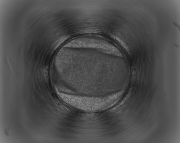 X0000093101162200710171154
