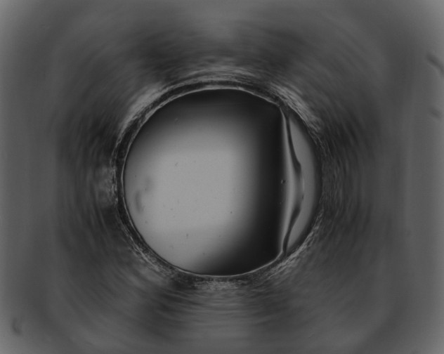X0000093101164200710171154