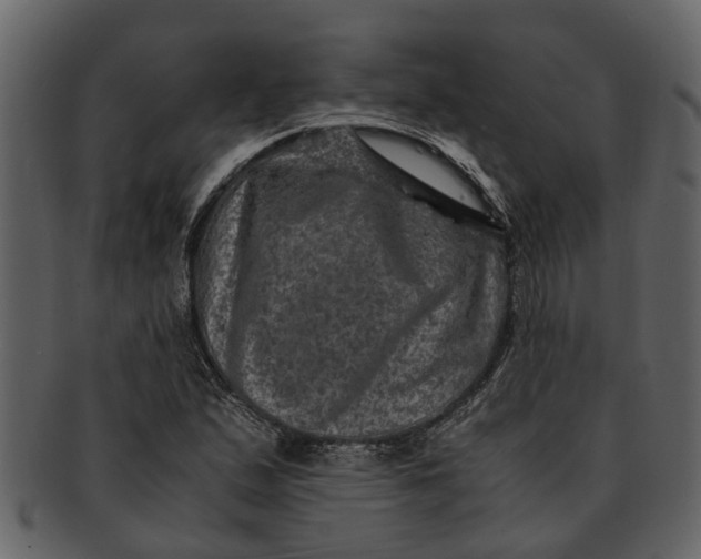 X0000093101167200710171154