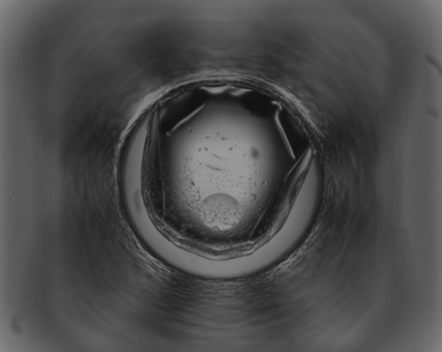 X0000093101168200710171154