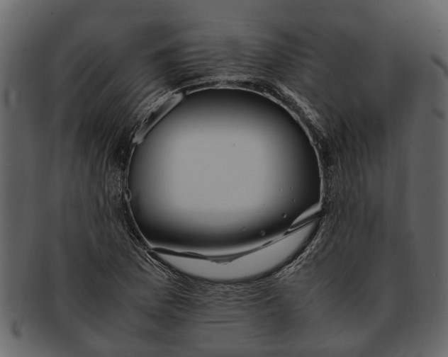 X0000093101169200710171154