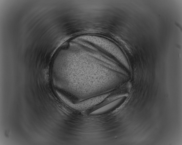 X0000093101170200710171154