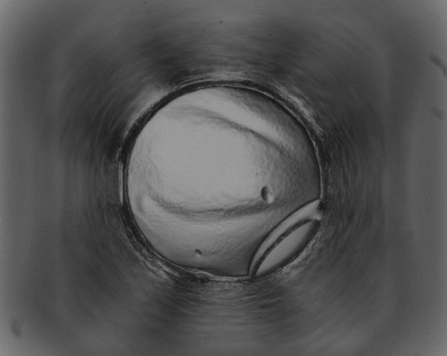 X0000093101171200710171154