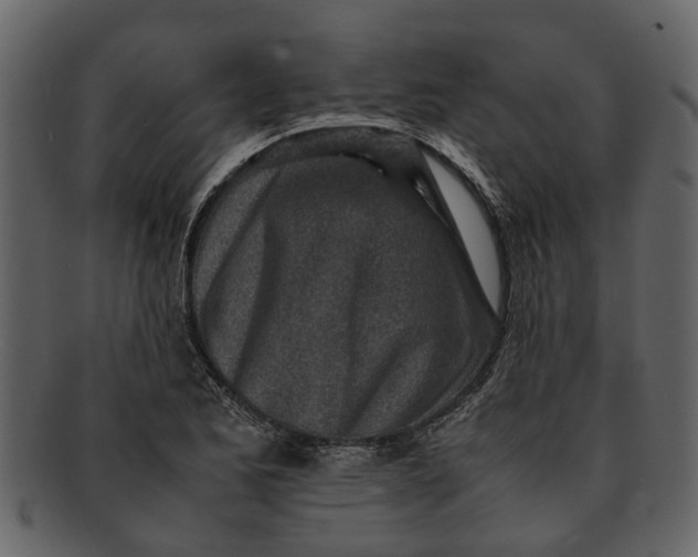 X0000093101173200710171154