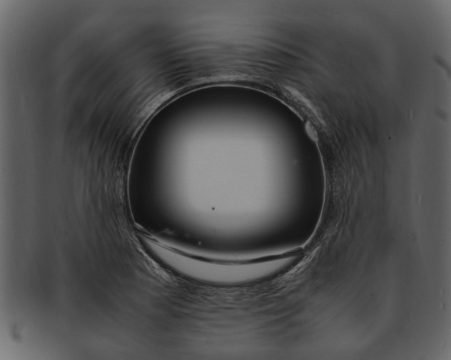 X0000093101177200710171154