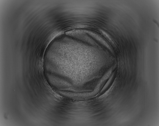 X0000093101178200710171154