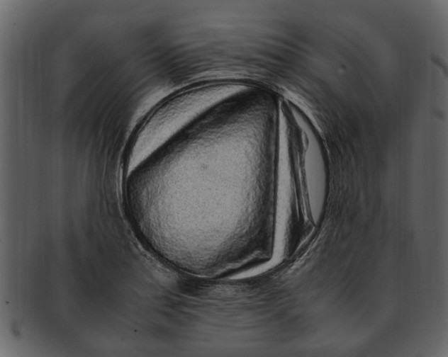 X0000093101179200710171153