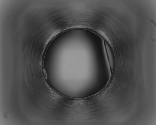 X0000093101181200710171153