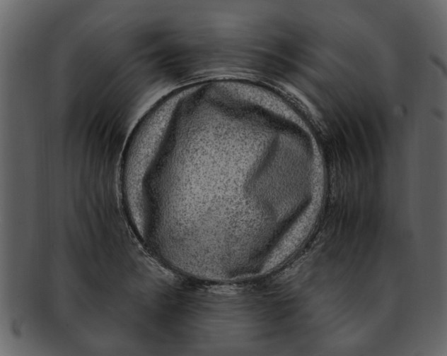 X0000093101182200710171153