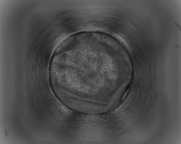X0000093101183200710171153