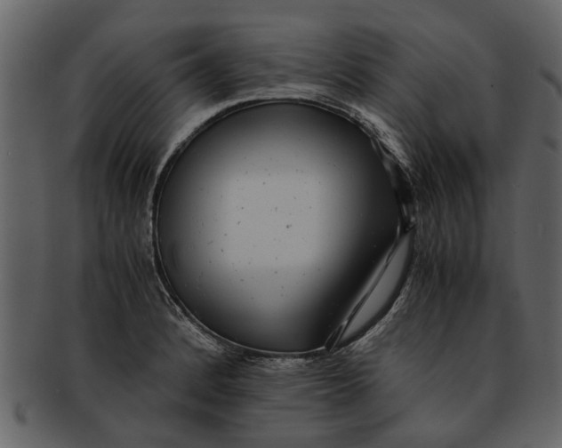 X0000093101184200710171153