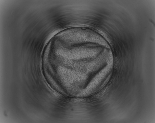 X0000093101187200710171153