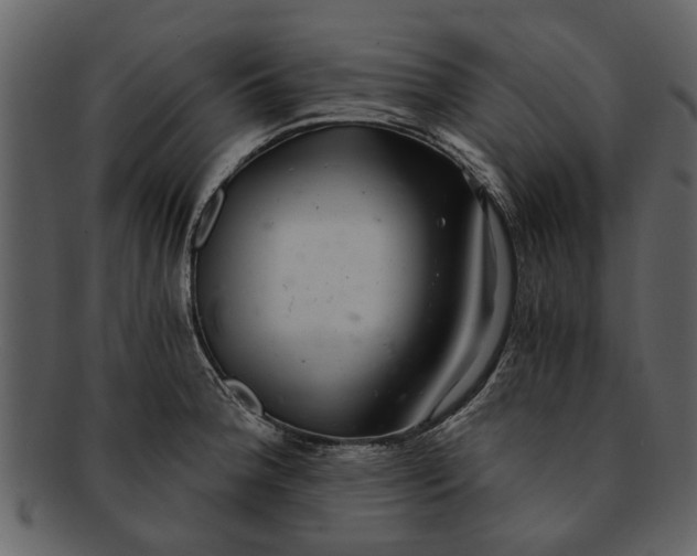 X0000093101188200710171153