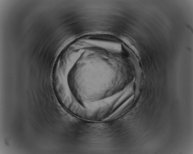 X0000093101189200710171153