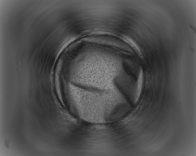X0000093101190200710171153
