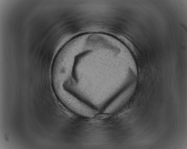 X0000093101191200710171153
