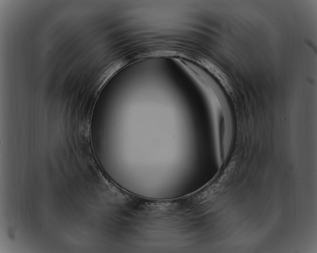 X0000093101193200710171153