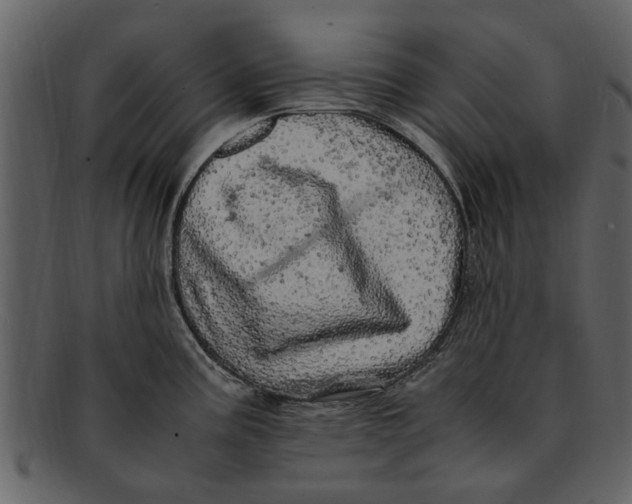 X0000093101195200710171153