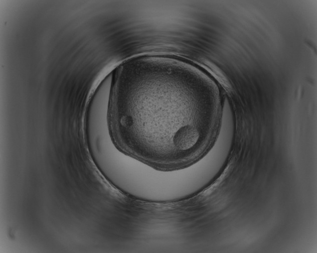 X0000093101196200710171153