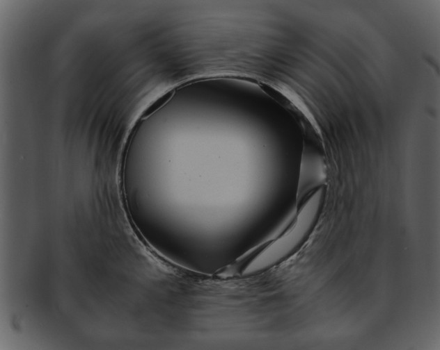 X0000093101197200710171153