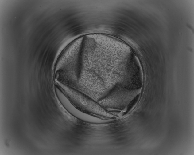 X0000093101200200710171153