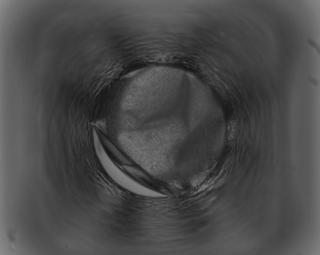 X0000093101202200710171153