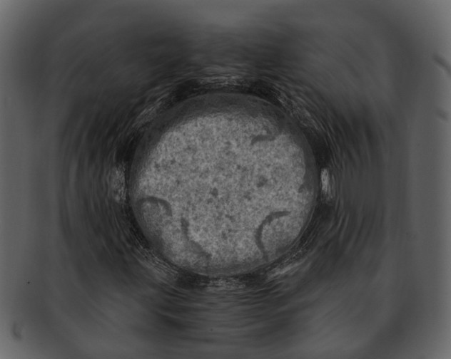 X0000093101203200710171153