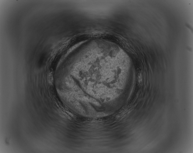 X0000093101204200710171153